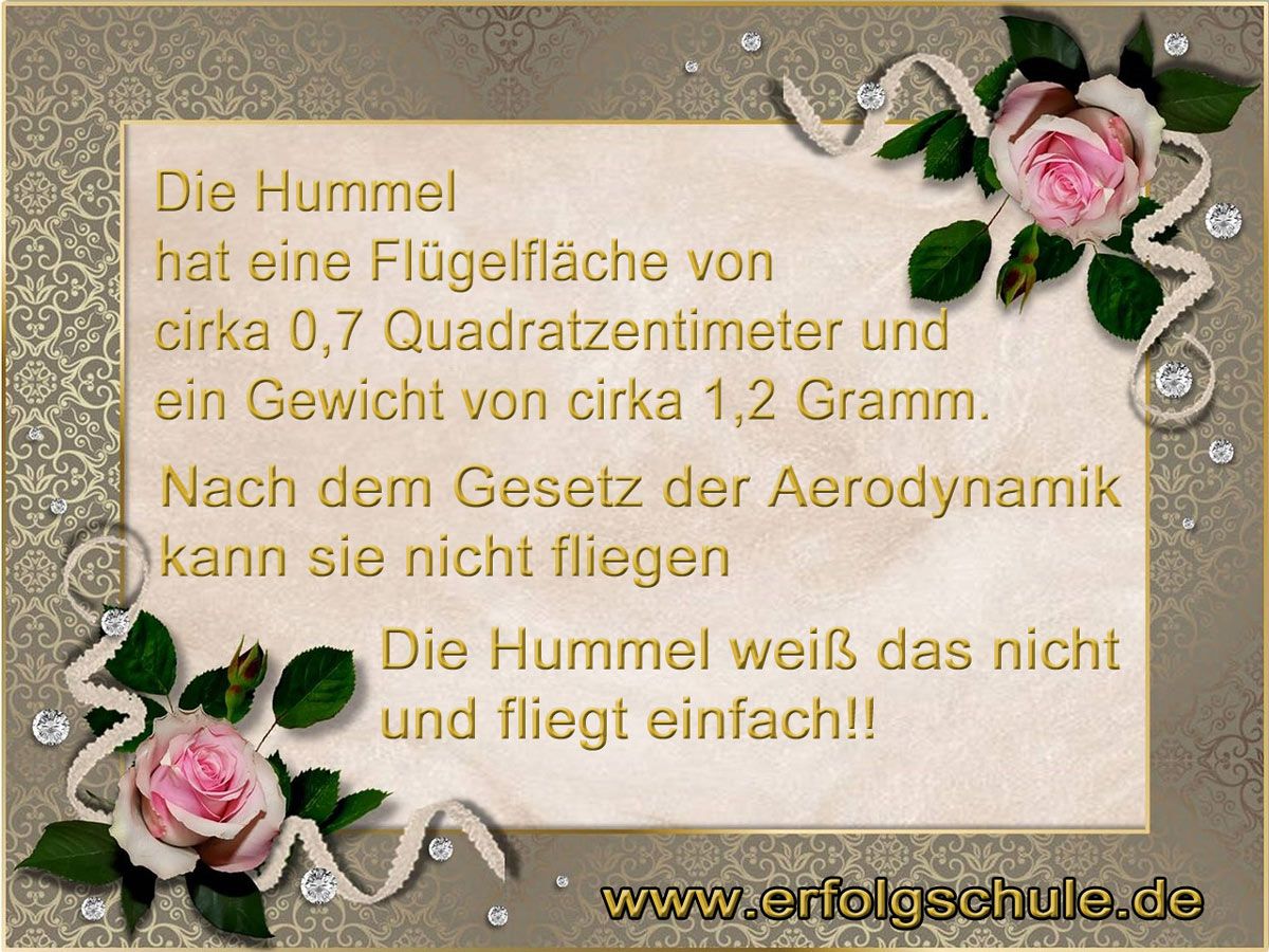 Die Hummel